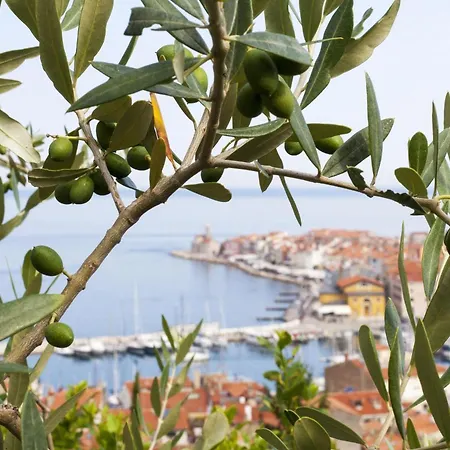Pool Lavanda - Happy * Šmarje