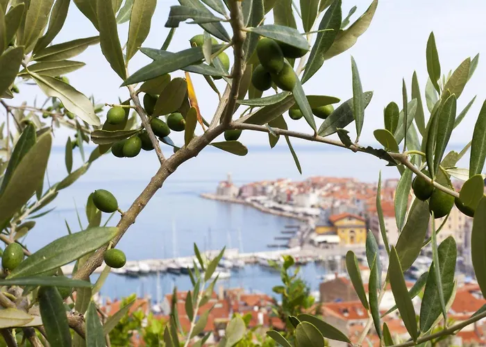 Pool Lavanda - Happy * Šmarje