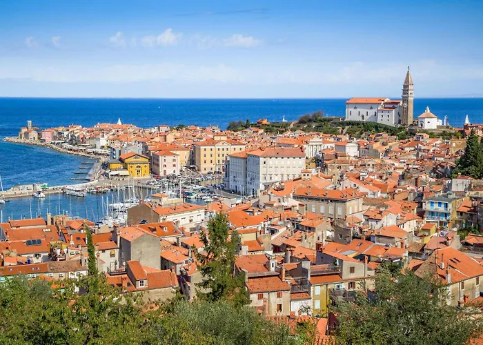 Pool Lavanda - Happy Šmarje