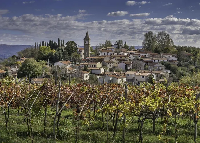 Villa Pool Lavanda - Happy